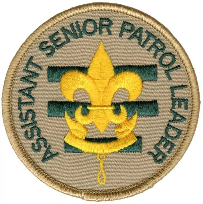 Assistant Patrol Leader Patch (2002 - 2009), Tan Brd 