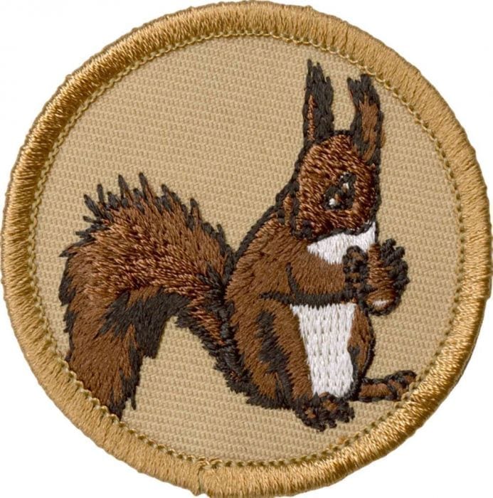 Squirrel Patrol Patch, Squirrel Patrol Dog Tag, Dog Bandana