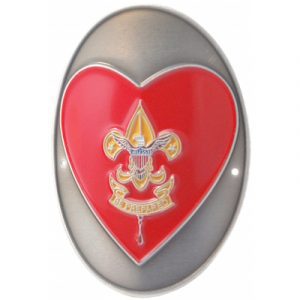Boy Scouts Wood Badge Pins, 2 Pins [2478]