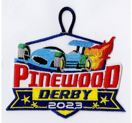 Pinewood Derby for Cub Scouts ~ Cub Scout Ideas